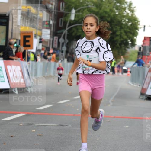 21.09.2025 - PSD Bank Halbmarathon Strokosch-Dieckow http://msf.ph/oto/8942491 21.09.2025 10:30:48 Ziel 108, 117, 192, 246, 318, 335, 402, 403 meine-sportfotos.de