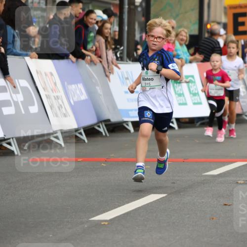 21.09.2025 - PSD Bank Halbmarathon Strokosch-Dieckow http://msf.ph/oto/8942505 21.09.2025 10:30:58 Ziel 315, 323, 340 meine-sportfotos.de