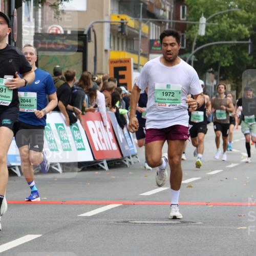 21.09.2025 - PSD Bank Halbmarathon Strokosch-Dieckow http://msf.ph/oto/8942512 21.09.2025 11:31:43 Ziel 1052, 1174, 1317, 1607, 1888, 1890, 1972, 1991, 2025, 2044, 2243 meine-sportfotos.de
