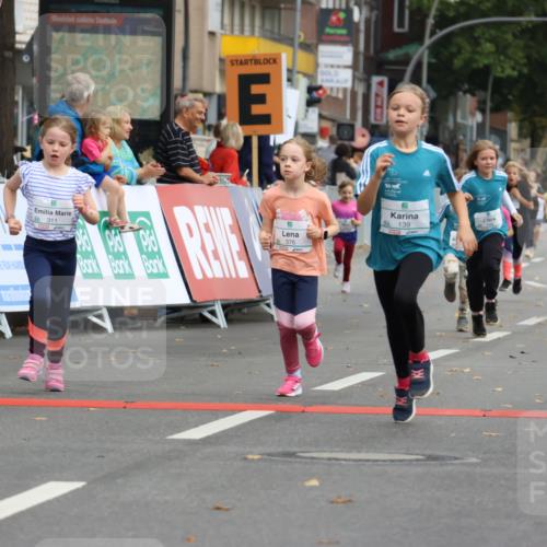 21.09.2025 - PSD Bank Halbmarathon Strokosch-Dieckow http://msf.ph/oto/8942551 21.09.2025 10:31:15 Ziel 139, 147, 148, 177, 277, 311, 376, 387, 413 meine-sportfotos.de