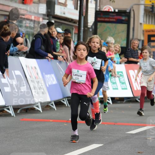 21.09.2025 - PSD Bank Halbmarathon Strokosch-Dieckow http://msf.ph/oto/8942588 21.09.2025 10:31:26 Ziel 147, 148, 287, 311, 326, 352, 376, 414, 439 meine-sportfotos.de