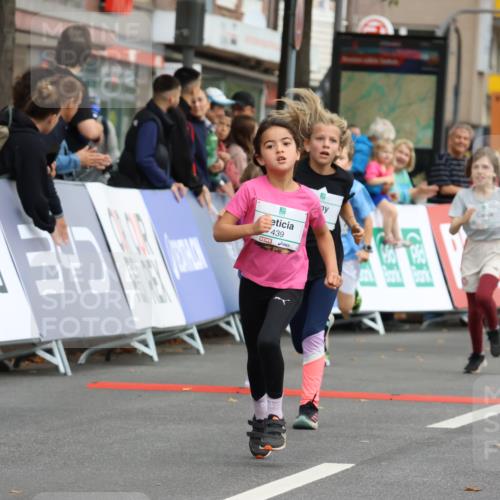 21.09.2025 - PSD Bank Halbmarathon Strokosch-Dieckow http://msf.ph/oto/8942591 21.09.2025 10:31:26 Ziel 147, 148, 287, 311, 326, 352, 376, 414, 439 meine-sportfotos.de