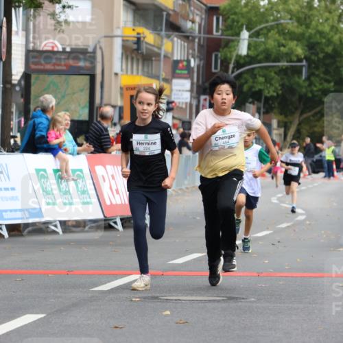 21.09.2025 - PSD Bank Halbmarathon Strokosch-Dieckow http://msf.ph/oto/8942607 21.09.2025 10:31:34 Ziel 122, 224, 287, 326, 352, 404, 414, 439, 454, 463 meine-sportfotos.de