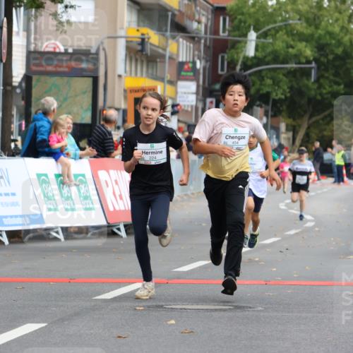 21.09.2025 - PSD Bank Halbmarathon Strokosch-Dieckow http://msf.ph/oto/8942609 21.09.2025 10:31:34 Ziel 122, 224, 287, 326, 352, 404, 414, 439, 454, 463 meine-sportfotos.de