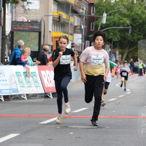 21.09.2025 - PSD Bank Halbmarathon Strokosch-Dieckow http://msf.ph/oto/8942611 21.09.2025 10:31:35 Ziel 122, 224, 287, 326, 352, 404, 414, 454, 463 meine-sportfotos.de