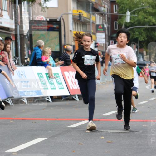 21.09.2025 - PSD Bank Halbmarathon Strokosch-Dieckow http://msf.ph/oto/8942615 21.09.2025 10:31:35 Ziel 122, 224, 287, 326, 352, 404, 414, 454, 463 meine-sportfotos.de