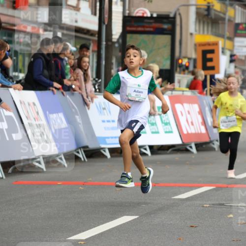21.09.2025 - PSD Bank Halbmarathon Strokosch-Dieckow http://msf.ph/oto/8942629 21.09.2025 10:31:37 Ziel 122, 224, 287, 352, 404, 454, 463 meine-sportfotos.de