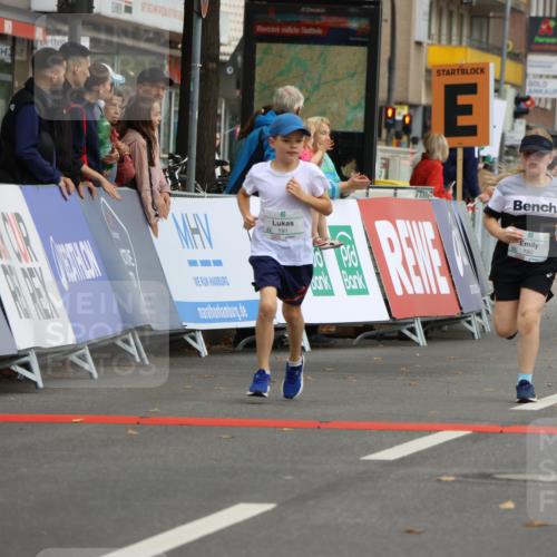 21.09.2025 - PSD Bank Halbmarathon Strokosch-Dieckow http://msf.ph/oto/8942642 21.09.2025 10:31:42 Ziel 122, 175, 190, 191, 224, 404, 454, 463 meine-sportfotos.de