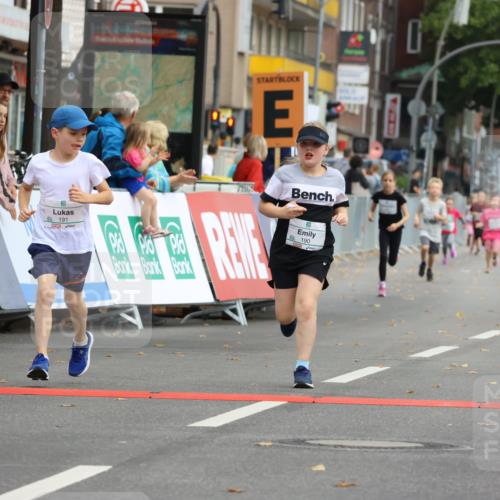 21.09.2025 - PSD Bank Halbmarathon Strokosch-Dieckow http://msf.ph/oto/8942644 21.09.2025 10:31:43 Ziel 122, 175, 190, 191, 224, 404, 454, 463 meine-sportfotos.de