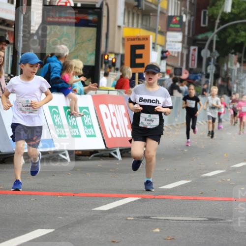 21.09.2025 - PSD Bank Halbmarathon Strokosch-Dieckow http://msf.ph/oto/8942646 21.09.2025 10:31:43 Ziel 122, 175, 190, 191, 224, 404, 454, 463 meine-sportfotos.de
