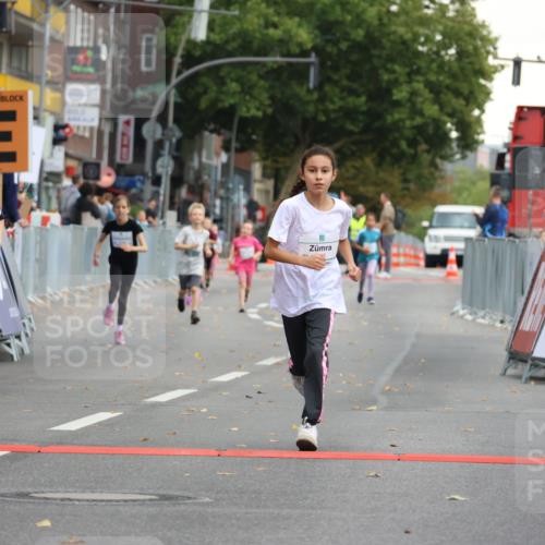 21.09.2025 - PSD Bank Halbmarathon Strokosch-Dieckow http://msf.ph/oto/8942654 21.09.2025 10:31:44 Ziel 122, 175, 190, 191, 224, 404, 454, 463 meine-sportfotos.de
