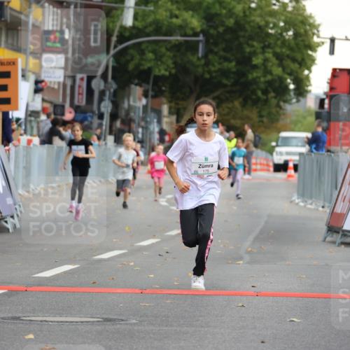 21.09.2025 - PSD Bank Halbmarathon Strokosch-Dieckow http://msf.ph/oto/8942656 21.09.2025 10:31:44 Ziel 122, 175, 190, 191, 224, 404, 454, 463 meine-sportfotos.de