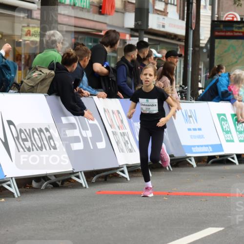 21.09.2025 - PSD Bank Halbmarathon Strokosch-Dieckow http://msf.ph/oto/8942665 21.09.2025 10:31:52 Ziel 110, 175, 190, 191, 208, 336 meine-sportfotos.de