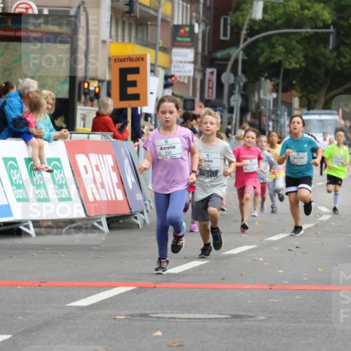 21.09.2025 - PSD Bank Halbmarathon Strokosch-Dieckow http://msf.ph/oto/8942674 21.09.2025 10:31:55 Ziel 110, 135, 137, 175, 208, 336 meine-sportfotos.de