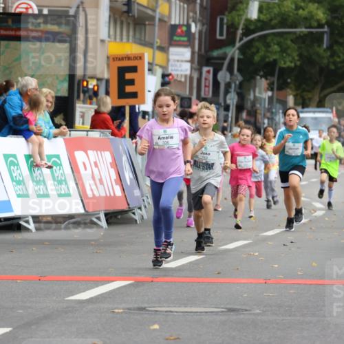 21.09.2025 - PSD Bank Halbmarathon Strokosch-Dieckow http://msf.ph/oto/8942676 21.09.2025 10:31:55 Ziel 110, 135, 137, 175, 208, 336 meine-sportfotos.de