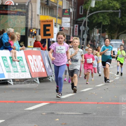 21.09.2025 - PSD Bank Halbmarathon Strokosch-Dieckow http://msf.ph/oto/8942678 21.09.2025 10:31:55 Ziel 110, 135, 137, 175, 208, 336 meine-sportfotos.de