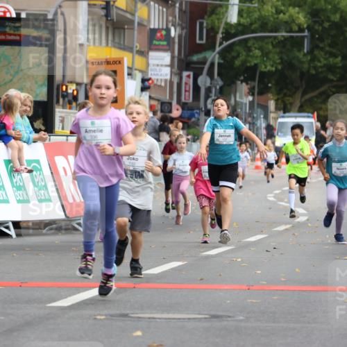21.09.2025 - PSD Bank Halbmarathon Strokosch-Dieckow http://msf.ph/oto/8942681 21.09.2025 10:31:57 Ziel 110, 135, 137, 208, 259, 260, 293, 309, 336 meine-sportfotos.de