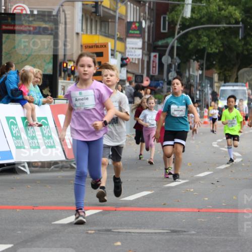 21.09.2025 - PSD Bank Halbmarathon Strokosch-Dieckow http://msf.ph/oto/8942685 21.09.2025 10:31:57 Ziel 110, 135, 137, 208, 259, 260, 293, 309, 336 meine-sportfotos.de