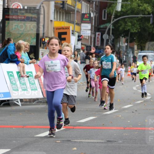 21.09.2025 - PSD Bank Halbmarathon Strokosch-Dieckow http://msf.ph/oto/8942688 21.09.2025 10:31:57 Ziel 110, 135, 137, 208, 259, 260, 293, 309, 336 meine-sportfotos.de