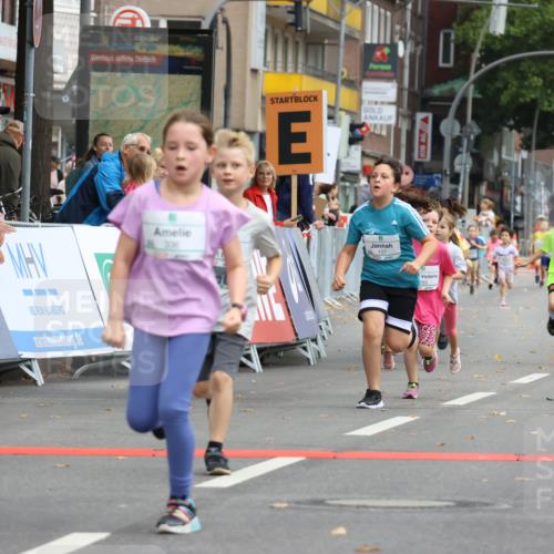 21.09.2025 - PSD Bank Halbmarathon Strokosch-Dieckow http://msf.ph/oto/8942692 21.09.2025 10:31:58 Ziel 110, 135, 137, 208, 259, 260, 293, 309, 336, 427 meine-sportfotos.de