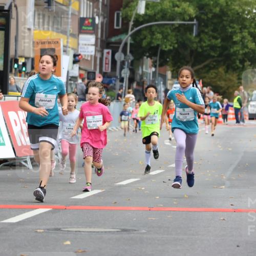 21.09.2025 - PSD Bank Halbmarathon Strokosch-Dieckow http://msf.ph/oto/8942701 21.09.2025 10:32:00 Ziel 110, 135, 137, 208, 259, 260, 293, 309, 322, 336, 369, 427 meine-sportfotos.de
