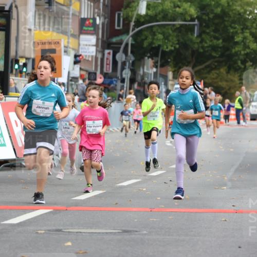 21.09.2025 - PSD Bank Halbmarathon Strokosch-Dieckow http://msf.ph/oto/8942703 21.09.2025 10:32:00 Ziel 110, 135, 137, 208, 259, 260, 293, 309, 322, 336, 369, 427 meine-sportfotos.de