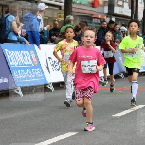 21.09.2025 - PSD Bank Halbmarathon Strokosch-Dieckow http://msf.ph/oto/8942715 21.09.2025 10:32:06 Ziel 110, 135, 137, 259, 260, 293, 309, 322, 336, 369, 385, 427 meine-sportfotos.de