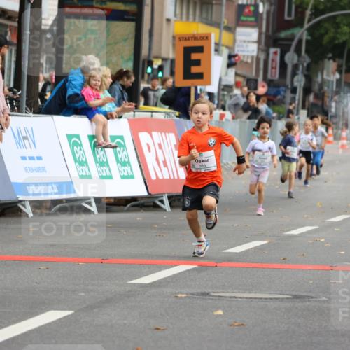 21.09.2025 - PSD Bank Halbmarathon Strokosch-Dieckow http://msf.ph/oto/8942725 21.09.2025 10:32:10 Ziel 135, 137, 259, 260, 293, 309, 322, 368, 369, 385, 427 meine-sportfotos.de