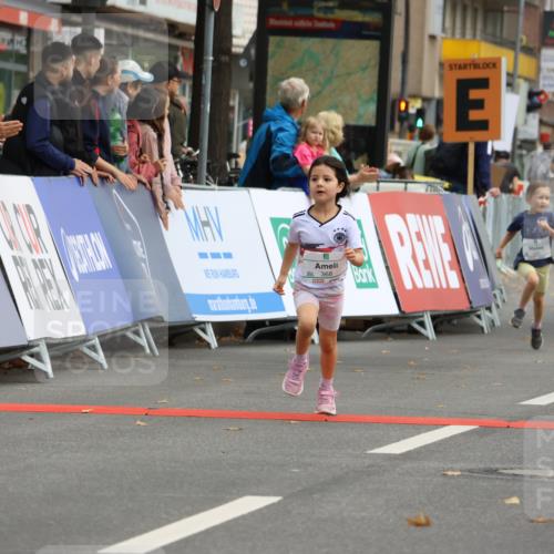 21.09.2025 - PSD Bank Halbmarathon Strokosch-Dieckow http://msf.ph/oto/8942742 21.09.2025 10:32:14 Ziel 133, 238, 282, 322, 368, 369, 385, 427 meine-sportfotos.de