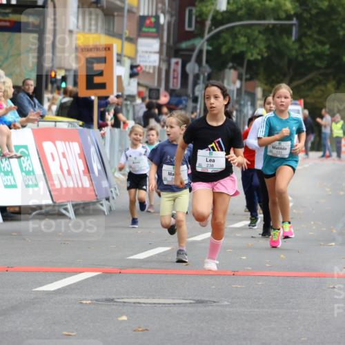 21.09.2025 - PSD Bank Halbmarathon Strokosch-Dieckow http://msf.ph/oto/8942755 21.09.2025 10:32:18 Ziel 133, 159, 173, 238, 273, 282, 368, 385 meine-sportfotos.de