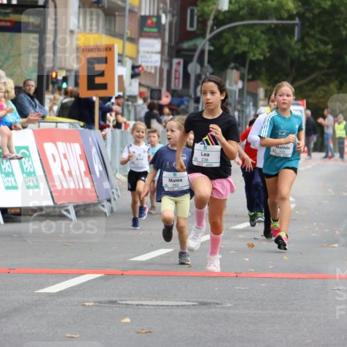 21.09.2025 - PSD Bank Halbmarathon Strokosch-Dieckow http://msf.ph/oto/8942757 21.09.2025 10:32:18 Ziel 133, 159, 173, 238, 273, 282, 368, 385 meine-sportfotos.de