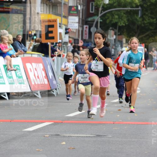 21.09.2025 - PSD Bank Halbmarathon Strokosch-Dieckow http://msf.ph/oto/8942759 21.09.2025 10:32:18 Ziel 133, 159, 173, 238, 273, 282, 368, 385 meine-sportfotos.de