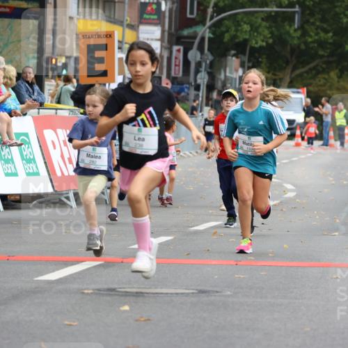21.09.2025 - PSD Bank Halbmarathon Strokosch-Dieckow http://msf.ph/oto/8942761 21.09.2025 10:32:19 Ziel 130, 133, 159, 173, 238, 273, 282, 368, 385 meine-sportfotos.de