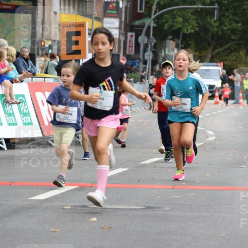 21.09.2025 - PSD Bank Halbmarathon Strokosch-Dieckow http://msf.ph/oto/8942763 21.09.2025 10:32:19 Ziel 130, 133, 159, 173, 238, 273, 282, 368, 385 meine-sportfotos.de
