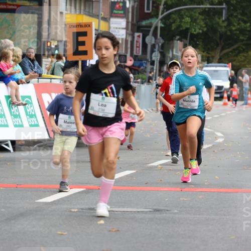 21.09.2025 - PSD Bank Halbmarathon Strokosch-Dieckow http://msf.ph/oto/8942765 21.09.2025 10:32:19 Ziel 130, 133, 159, 173, 238, 273, 282, 368, 385 meine-sportfotos.de