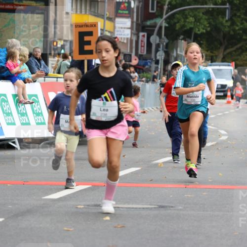 21.09.2025 - PSD Bank Halbmarathon Strokosch-Dieckow http://msf.ph/oto/8942768 21.09.2025 10:32:19 Ziel 130, 133, 159, 173, 238, 273, 282, 368, 385 meine-sportfotos.de