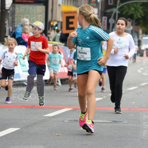 21.09.2025 - PSD Bank Halbmarathon Strokosch-Dieckow http://msf.ph/oto/8942774 21.09.2025 10:32:22 Ziel 130, 133, 159, 173, 238, 273, 282, 312, 364, 368, 372, 429 meine-sportfotos.de