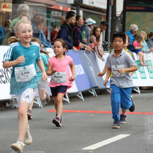 21.09.2025 - PSD Bank Halbmarathon Strokosch-Dieckow http://msf.ph/oto/8942790 21.09.2025 10:32:28 Ziel 130, 133, 159, 173, 238, 273, 282, 312, 364, 372, 429 meine-sportfotos.de