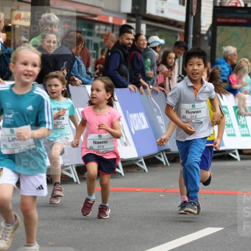 21.09.2025 - PSD Bank Halbmarathon Strokosch-Dieckow http://msf.ph/oto/8942796 21.09.2025 10:32:28 Ziel 130, 133, 159, 173, 238, 273, 282, 312, 364, 372, 429 meine-sportfotos.de