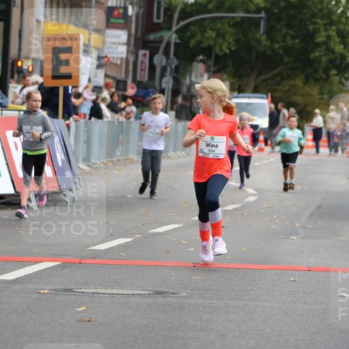 21.09.2025 - PSD Bank Halbmarathon Strokosch-Dieckow http://msf.ph/oto/8942810 21.09.2025 10:32:44 Ziel 160, 291, 394 meine-sportfotos.de