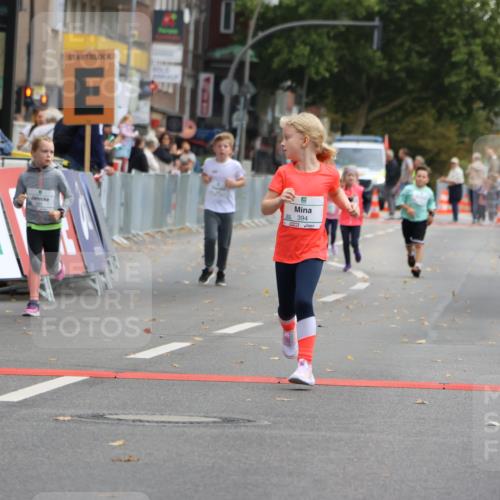 21.09.2025 - PSD Bank Halbmarathon Strokosch-Dieckow http://msf.ph/oto/8942812 21.09.2025 10:32:44 Ziel 160, 291, 394 meine-sportfotos.de