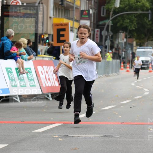 21.09.2025 - PSD Bank Halbmarathon Strokosch-Dieckow http://msf.ph/oto/8942927 21.09.2025 10:33:47 Ziel 185, 186, 308 meine-sportfotos.de