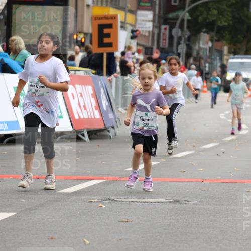 21.09.2025 - PSD Bank Halbmarathon Strokosch-Dieckow http://msf.ph/oto/8942981 21.09.2025 10:34:17 Ziel 180, 181, 188, 280 meine-sportfotos.de