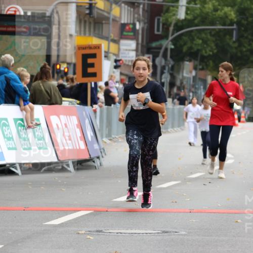 21.09.2025 - PSD Bank Halbmarathon Strokosch-Dieckow http://msf.ph/oto/8943079 21.09.2025 10:35:47 Ziel 284, 290 meine-sportfotos.de