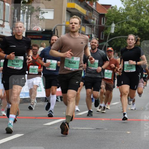 21.09.2025 - PSD Bank Halbmarathon Strokosch-Dieckow http://msf.ph/oto/8945594 21.09.2025 11:58:28 Ziel 1197, 1275, 1276, 1322, 1610, 2289, 2324, 2343, 2622, 2637, 2826, 2832, 2858, 2961, 3032, 3092, 3099, 3170, 3314, 3960, 4044 meine-sportfotos.de