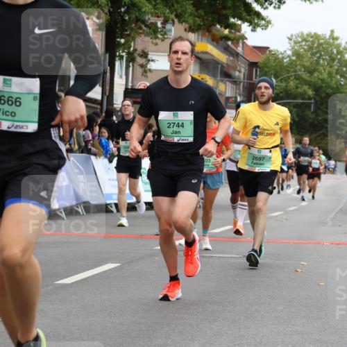 21.09.2025 - PSD Bank Halbmarathon Strokosch-Dieckow http://msf.ph/oto/8945884 21.09.2025 12:00:24 Ziel 1159, 1912, 2329, 2373, 2466, 2467, 2473, 2519, 2666, 2697, 2699, 2723, 2744, 3046, 3104, 3364, 3603, 3677, 3984 meine-sportfotos.de