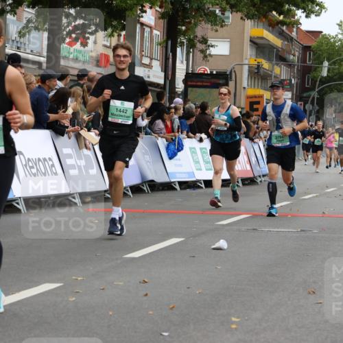 21.09.2025 - PSD Bank Halbmarathon Strokosch-Dieckow http://msf.ph/oto/8946039 21.09.2025 12:08:42 Ziel 1442, 2575, 3223, 3261, 3274, 3414, 3506, 3794 meine-sportfotos.de