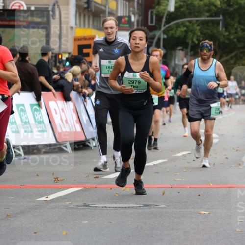 21.09.2025 - PSD Bank Halbmarathon Strokosch-Dieckow http://msf.ph/oto/8946332 21.09.2025 12:10:35 Ziel 1642, 1670, 2365, 2603, 2979, 3029, 3069, 3446 meine-sportfotos.de