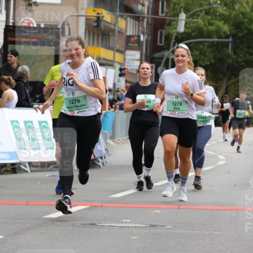 21.09.2025 - PSD Bank Halbmarathon Strokosch-Dieckow http://msf.ph/oto/8948177 21.09.2025 12:35:17 Ziel 1278, 1279, 1341, 2647, 3322, 3442, 3508, 3883 meine-sportfotos.de