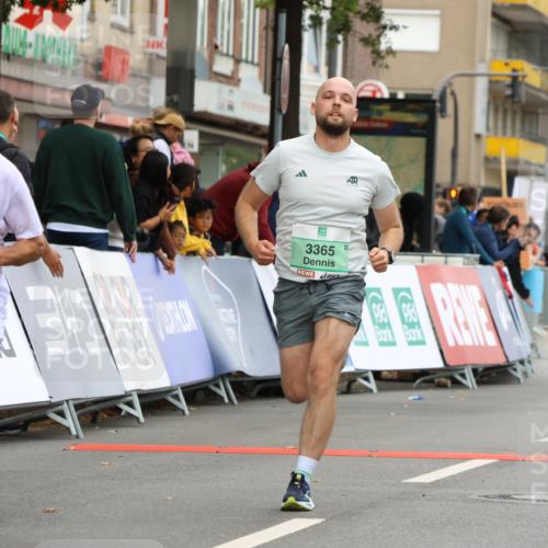 21.09.2025 - PSD Bank Halbmarathon Strokosch-Dieckow http://msf.ph/oto/8948349 21.09.2025 12:38:59 Ziel 3197, 3238, 3280, 3365 meine-sportfotos.de
